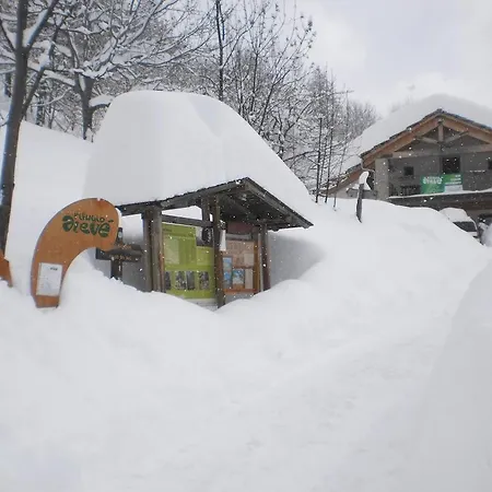بيت شباب Rifugio Aleve *